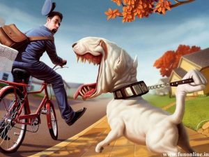 dog bites
