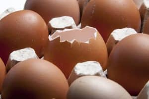 eggshell plaintiff pre-existing conditions