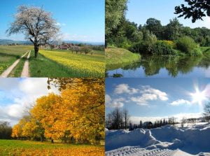 seasons image