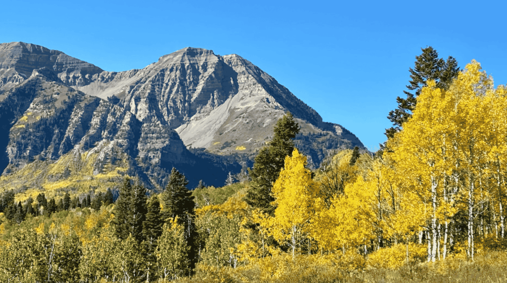 justice-in-the-mountains-why-salt-lake-city-trusts-this-personal-injury-attorney-salt-lake-city-utah-team